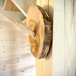 Na Pniu Apartament *